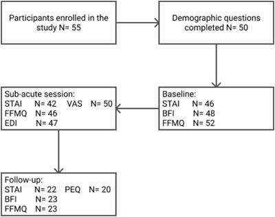 Decreases in State and Trait Anxiety Post-psilocybin: A Naturalistic, Observational Study Among Retreat Attendees